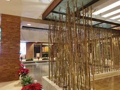 -松山湖凯悦酒店·Café自助餐厅·周末火舞秀表演