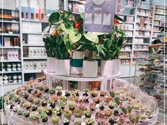 -KKV(深圳kk one 店)