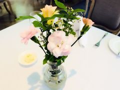 -蝶舍·MAISON PAPILLON