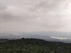 -铁山坪森林公园