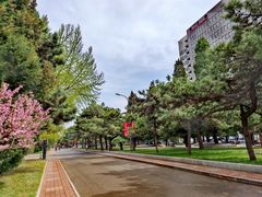 -中央民族大学