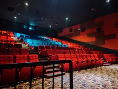 -龙之星国际影城(太平店)