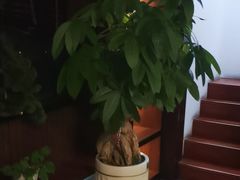 -臻享养生·SPA·影院式足道(汇臻店)