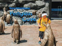 -新加坡飞禽公园