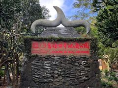 -海口火山口国家地质公园