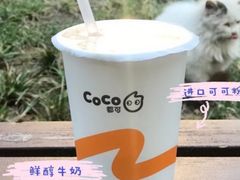 CoCo可可牛奶-CoCo都可(芙蓉天虹店)