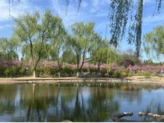-石家庄市植物园