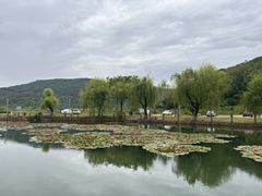 -南北湖风景区