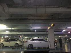 -首都医科大学附属北京儿童医院