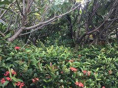 -西双版纳融创皇冠假日度假酒店