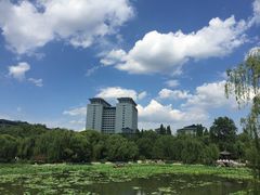 紫竹院公园-紫竹院公园冰场