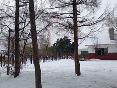 -长春市南湖公园