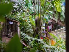 -正佳雨林生态植物园