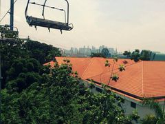 -圣淘沙天际线斜坡滑车