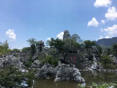 -千岛湖石林
