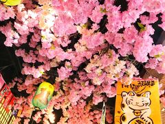-尺山寸水日料(马桥满天星店)