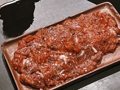 -毛辣果·酸(OHA复兴西路店)