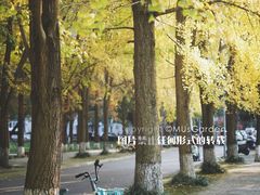 -四川大学(望江校区)