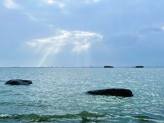 -滆湖低碳生态公园