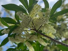 -崇圣寺三塔文化旅游区