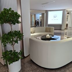 -广州美莱医疗美容医院