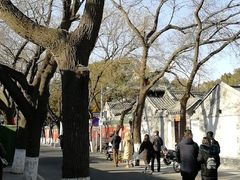 -国子监街18