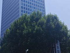 -世东国际
