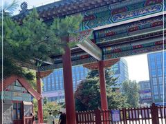 -北陵公园