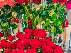 -ROSEONLY诺誓(国际广场购物中心店)