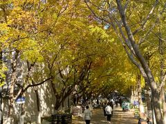 -山东师范大学(千佛山校区)