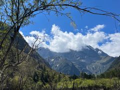 -金鼎雪山牦牛杂火锅(理县总店)