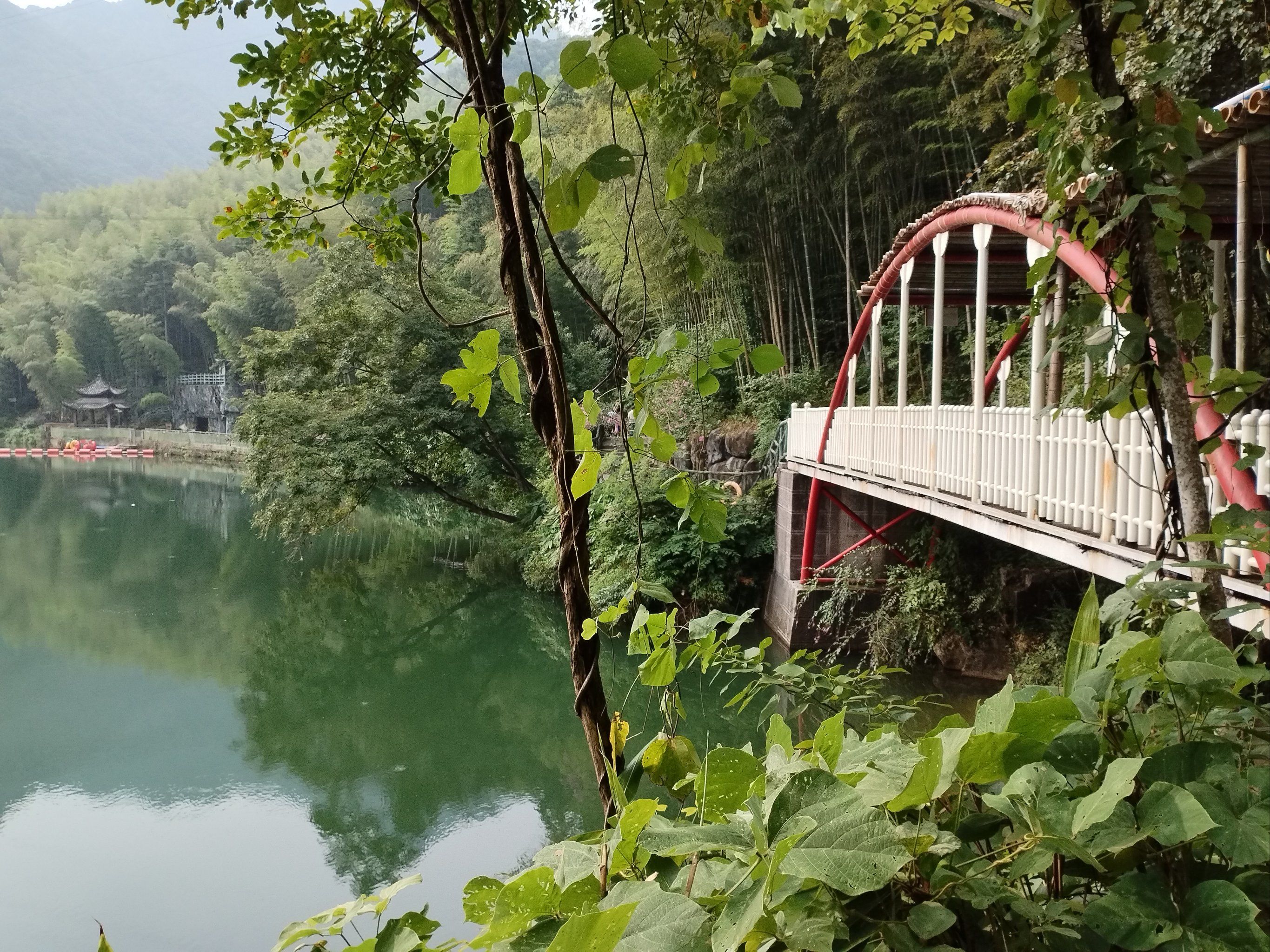 芙蓉谷,缱绻旖旎的时光
