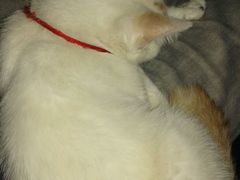 -星宿秘码(鼓浪屿老店)