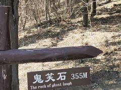-鬼笑石后山停车场