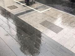 -中国邮政(徐汇邮政支局)