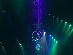 -珠海横琴长隆《卡卡虎奇遇记》