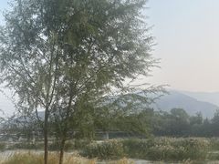 -永定河休闲森林公园