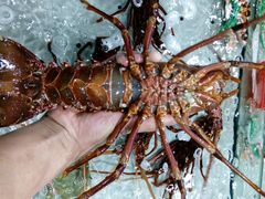 android_upload_pic-渔傅·蓝海岸霞浦海鲜(正祥店)
