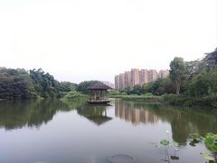 -金山公园