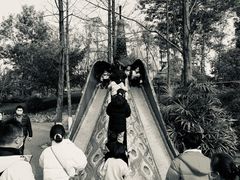 -成飞公园