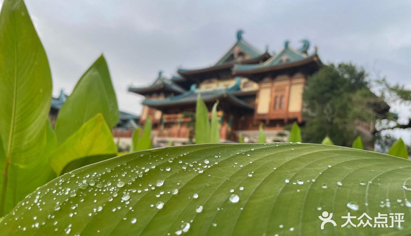 打卡金陵小镇