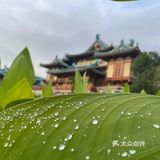 打卡金陵小镇