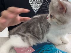 -佳雯宠物医院·皮肤科·内外科(春晓路分院)