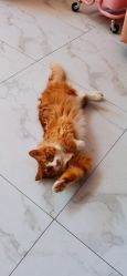 点击看大图 -JX今喜美甲美睫