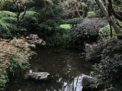 -杭州西子湖四季酒店-WL BISTRO西湖餐厅(灵隐路店)