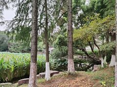 -范蠡湖公园