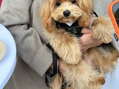 -上海神旺大酒店