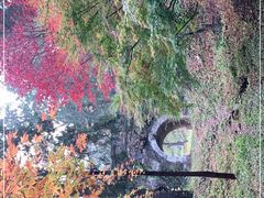 -香山公园