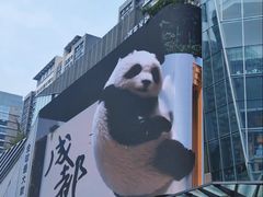 -合景·悠方(成都店)