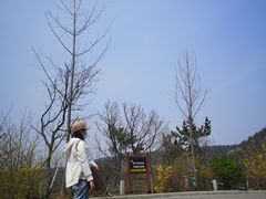 -棒棰岛宾馆景区